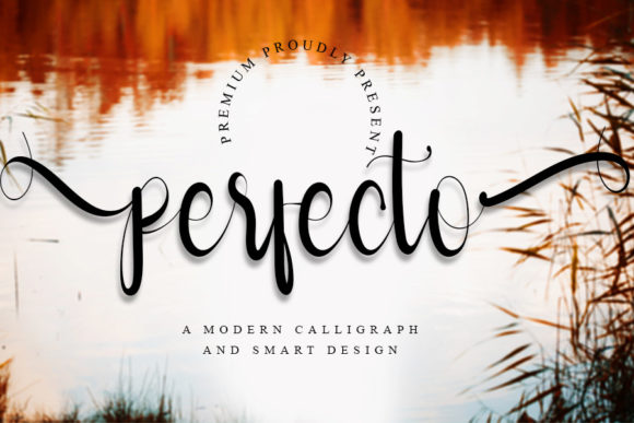 Perfecto Font: Whimsical Script for Makers