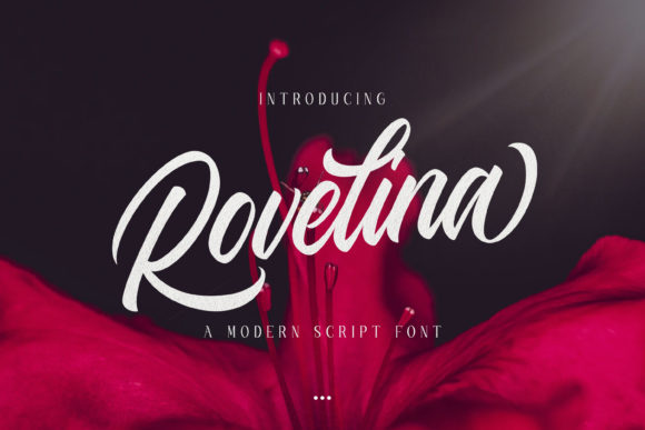 Rovelina: A Designer’s Honest Review