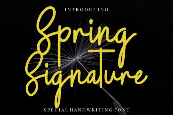 Spring Signature Font Review for Brand Designers