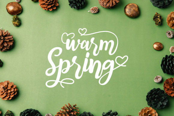 Warm Spring: A Refined Script Font for Elegant Branding